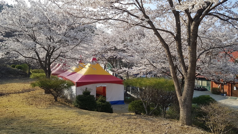 아리아의 봄