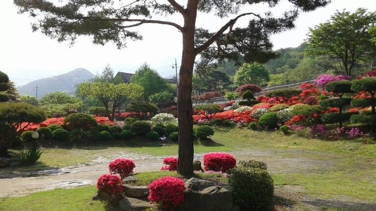 아리아의 봄