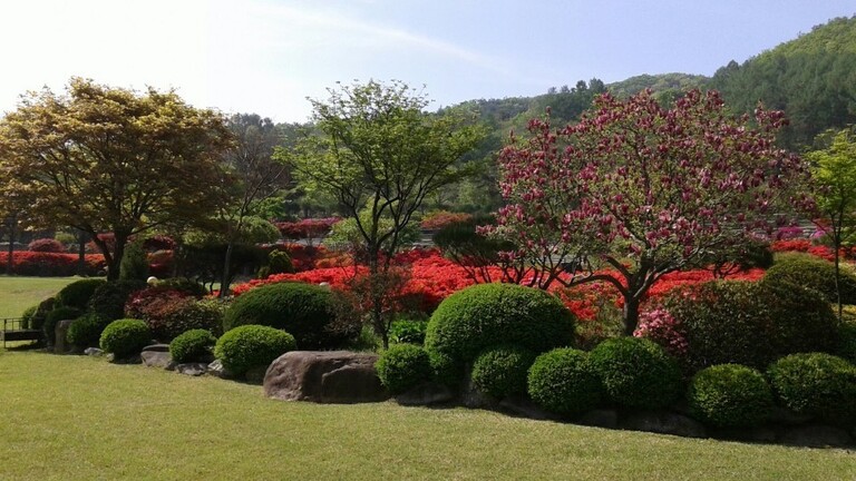 아리아의 봄