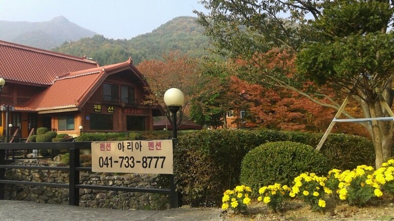 아리아의 봄