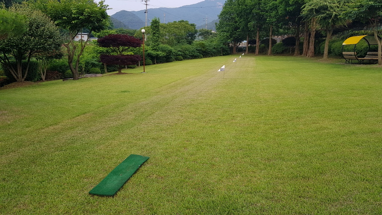 아리아의 여름
