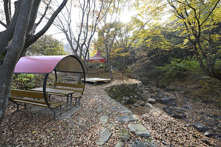 아리아의 가을