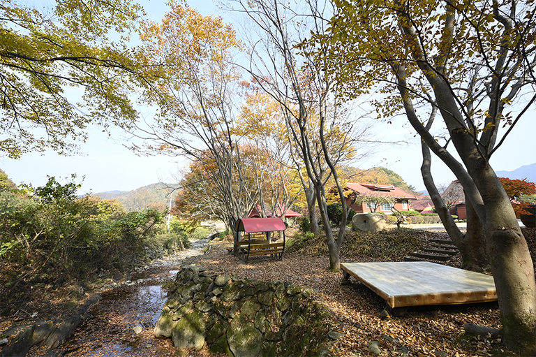 아리아의 가을
