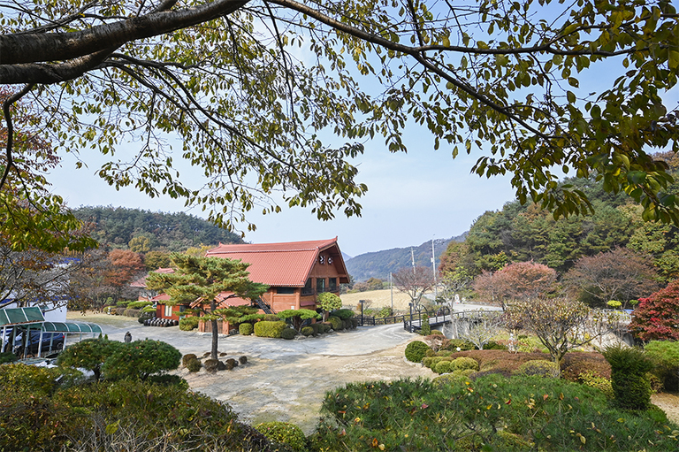 아리아의 가을