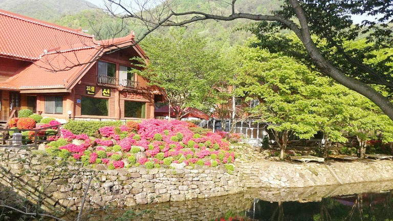 아리아의 봄 